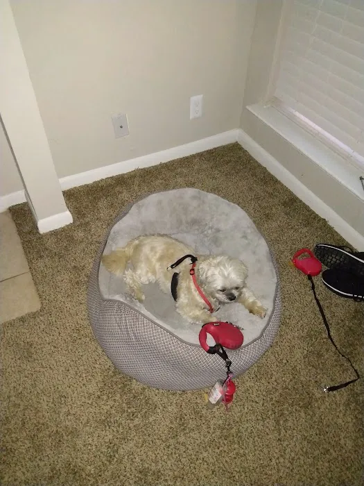 Banfield Pet Hospital Picture 1
