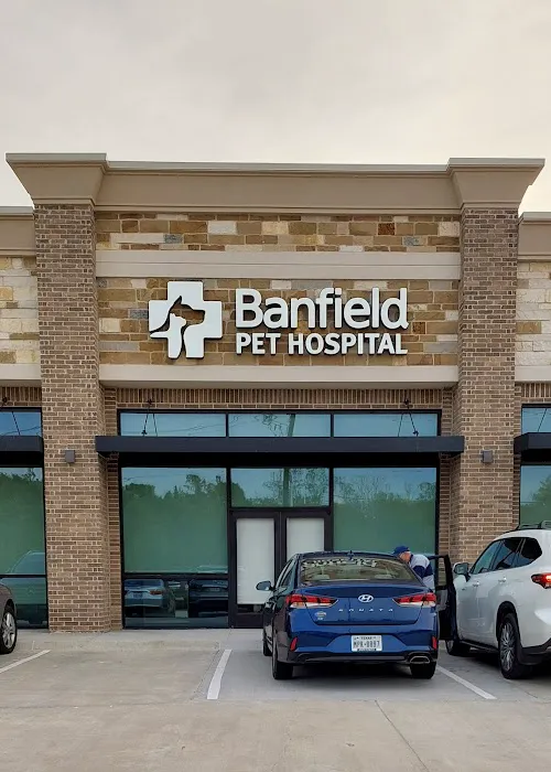 Banfield Pet Hospital Picture 3
