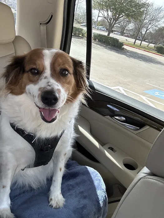 Country Creek Animal Hospital Picture 1