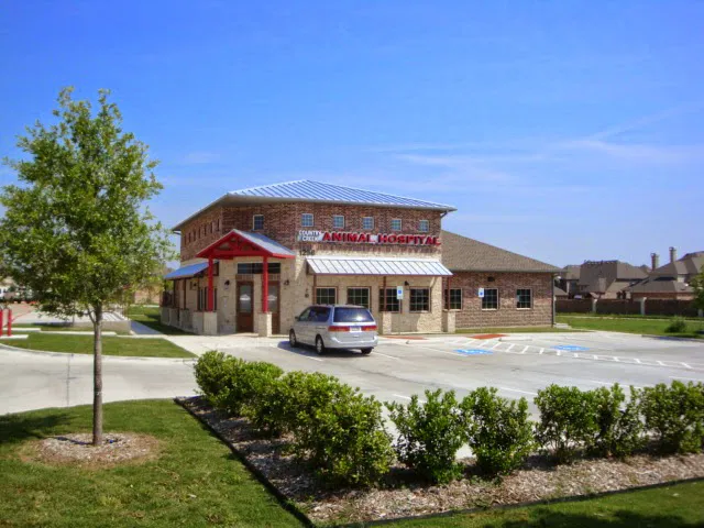 Country Creek Animal Hospital Picture 2