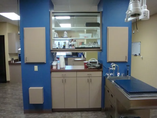 Country Creek Animal Hospital Picture 8
