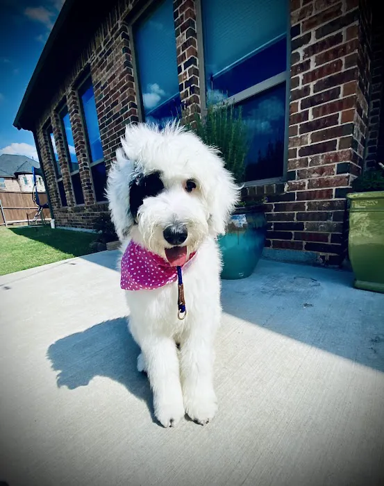 Timber Ridge Animal Medical Center Picture 5