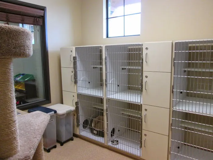 Timber Ridge Animal Medical Center Picture 10