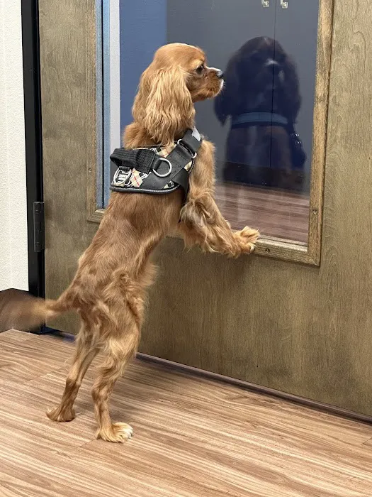 Pet Method Animal Hospital Picture 7