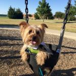 Total Care Animal Hospital