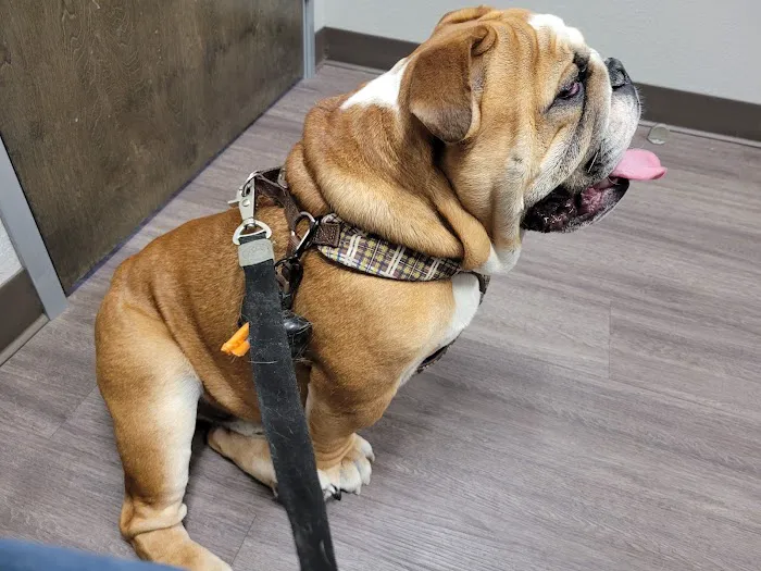 Total Care Animal Hospital Picture 4