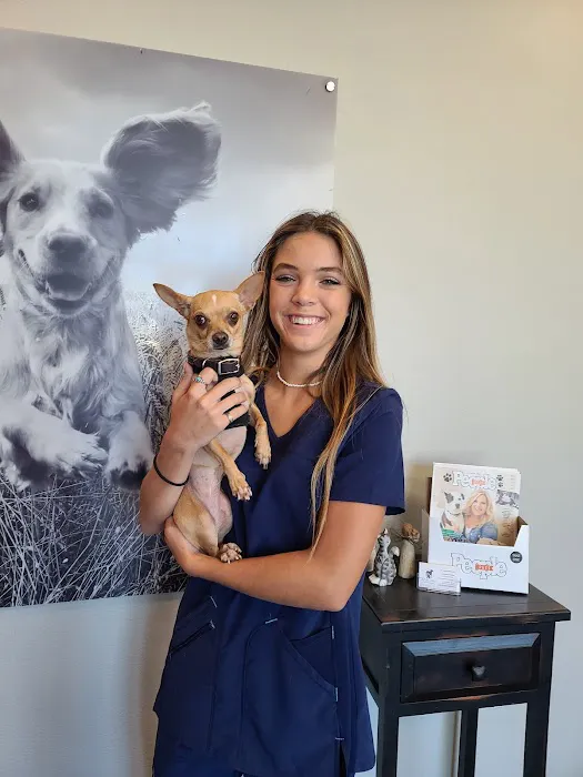 Total Care Animal Hospital Picture 8