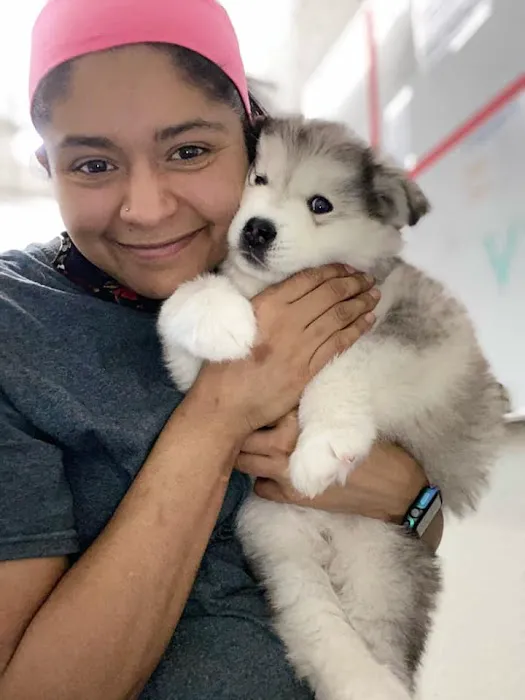 Spay Neuter Network Picture 10
