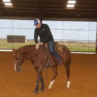 Trailmark Equine Clinic ico