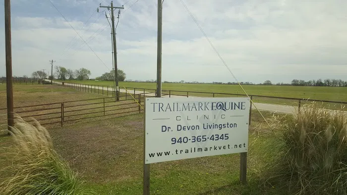 Trailmark Equine Clinic Picture 2