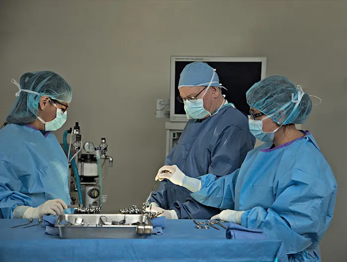 Mustang Veterinary Surgical Picture 6