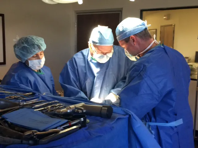Mustang Veterinary Surgical Picture 4