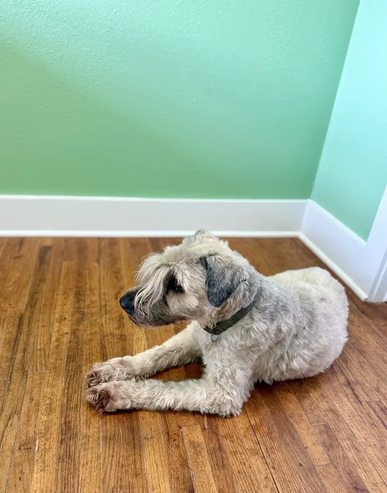 Shelton Veterinary Hospital Picture 2