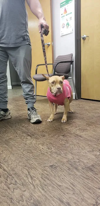 Shelton Veterinary Hospital Picture 6
