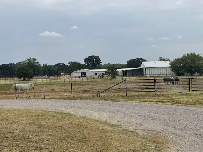 Weems & Stephens Equine Hospital Picture 1