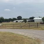 Weems & Stephens Equine Hospital
