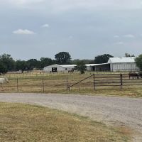 Weems & Stephens Equine Hospital ico