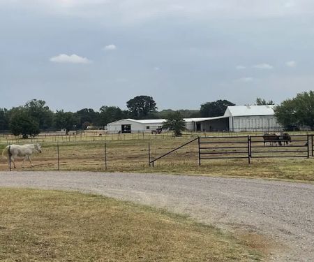 Weems & Stephens Equine Hospital