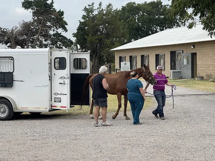 Weems & Stephens Equine Hospital Picture 6