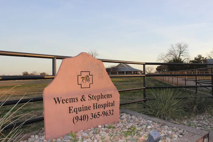 Weems & Stephens Equine Hospital Picture 10