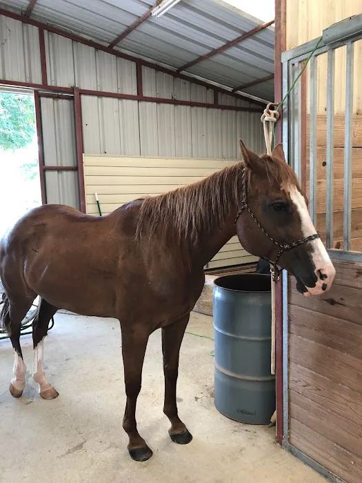 Weems & Stephens Equine Hospital Picture 9
