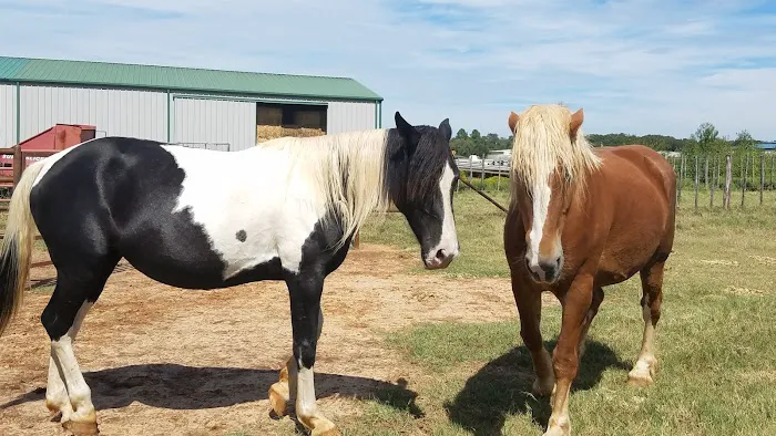 Equine Embryo Transfer Facility Picture 3