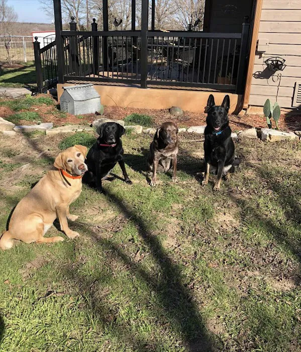 North Texas Veterinary Hospital Picture 7