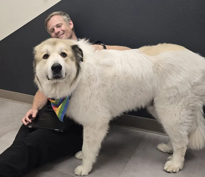 Grounds For Hounds Veterinary Clinic Picture 3