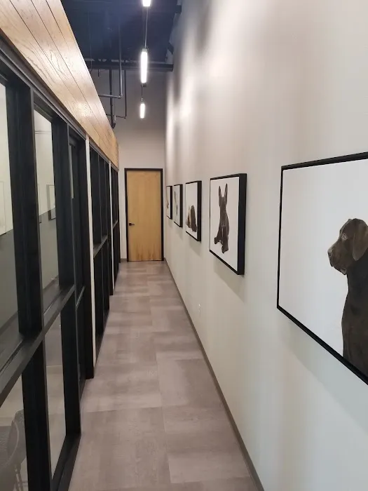 Grounds For Hounds Veterinary Clinic Picture 1