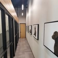 Grounds For Hounds Veterinary Clinic ico