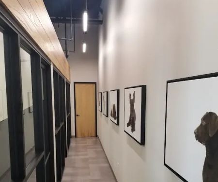 Grounds For Hounds Veterinary Clinic