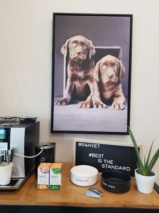 Grounds For Hounds Veterinary Clinic Picture 9