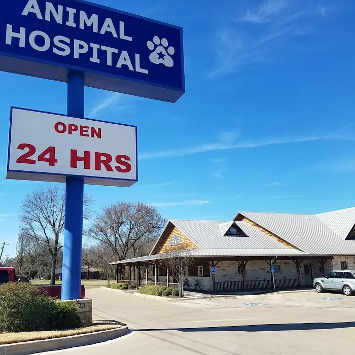 I-20 Animal Hospital Picture 2