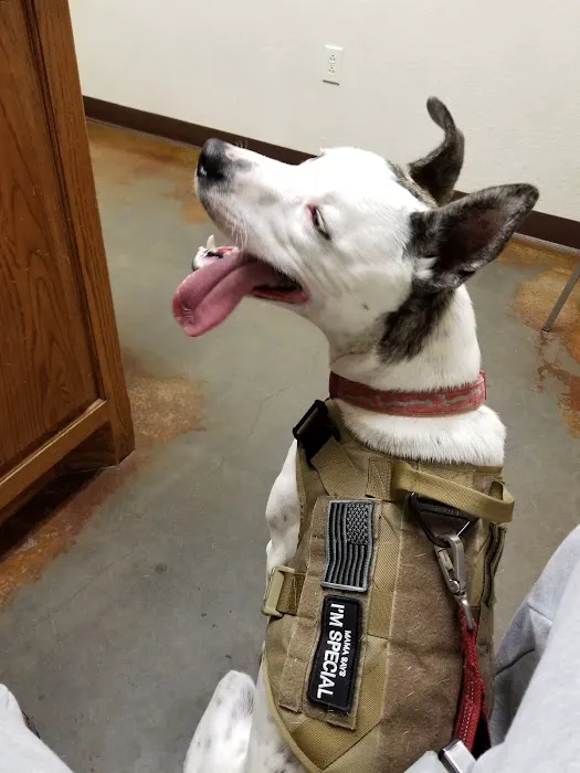 VCA Aledo Animal Hospital Picture 9