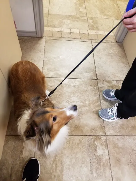 Clear Fork Veterinary Clinic Picture 4