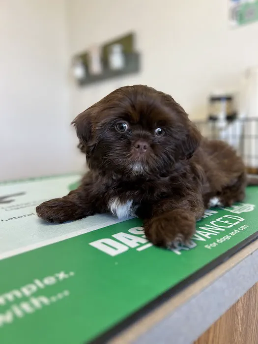 Clear Fork Veterinary Clinic Picture 2