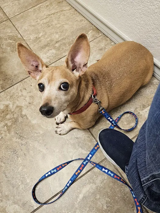 Clear Fork Veterinary Clinic Picture 8