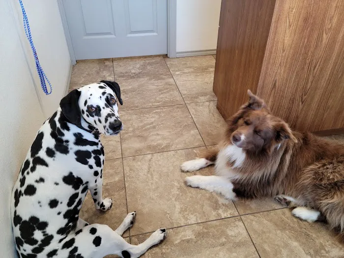 Clear Fork Veterinary Clinic Picture 7
