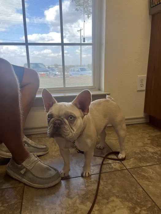 Clear Fork Veterinary Clinic Picture 9