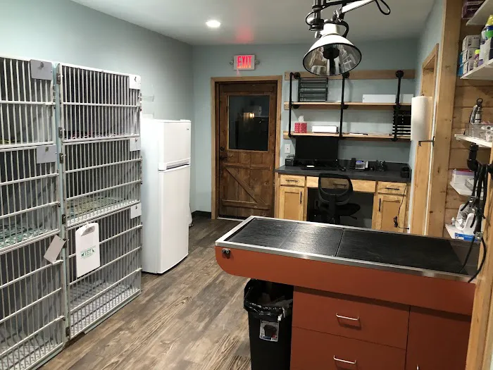 Vista Animal Hospital and Rehab Picture 8
