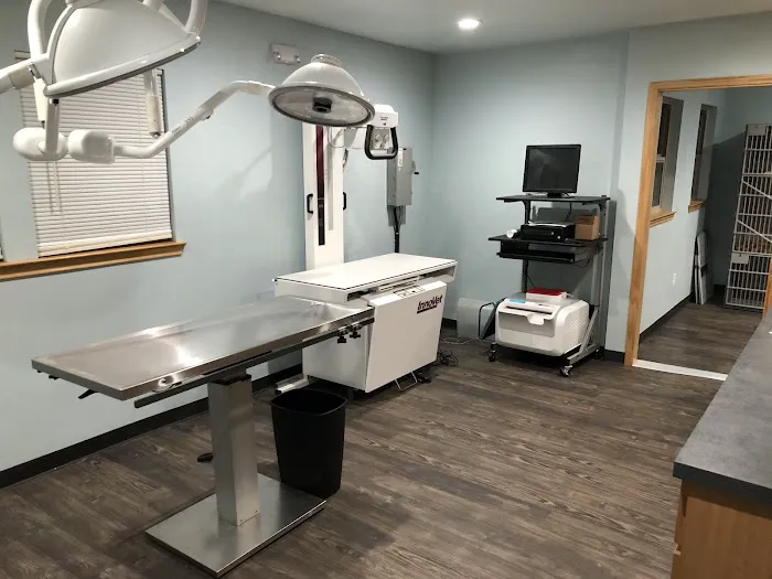 Vista Animal Hospital and Rehab Picture 7