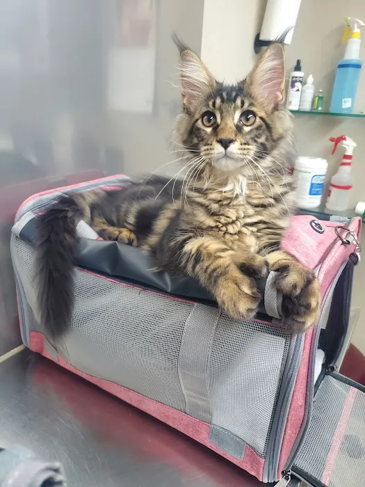 Parker County Veterinary Hospital Picture 3