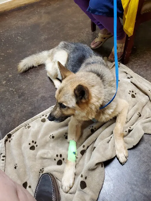 Parker County Veterinary Hospital Picture 6