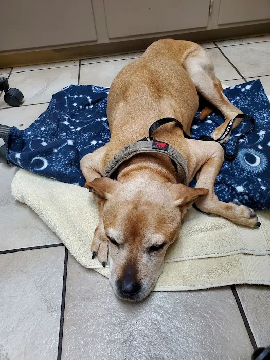 Parker County Veterinary Hospital Picture 5