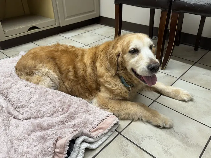 Parker County Veterinary Hospital Picture 8
