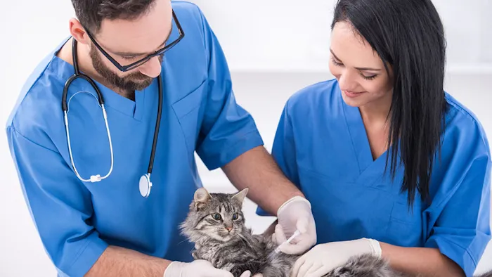 Parker County Veterinary Hospital Picture 9