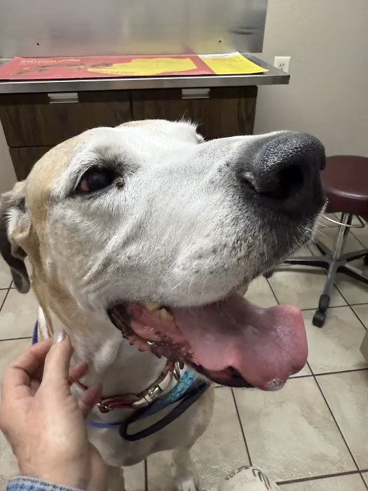 Parker County Veterinary Hospital Picture 10