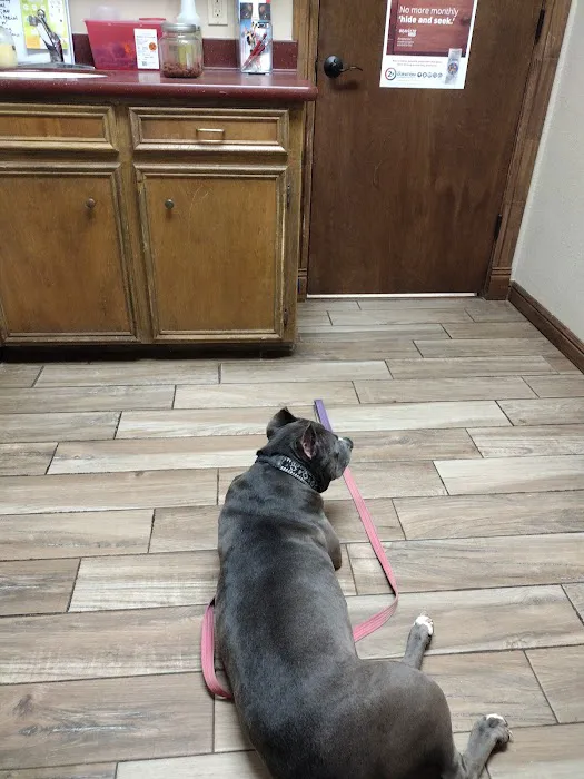Grote Veterinary Clinic Picture 7