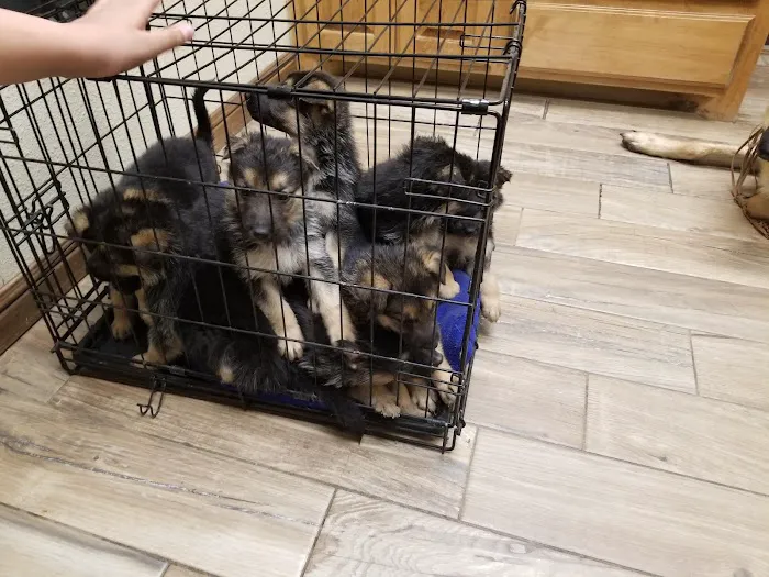 Grote Veterinary Clinic Picture 10