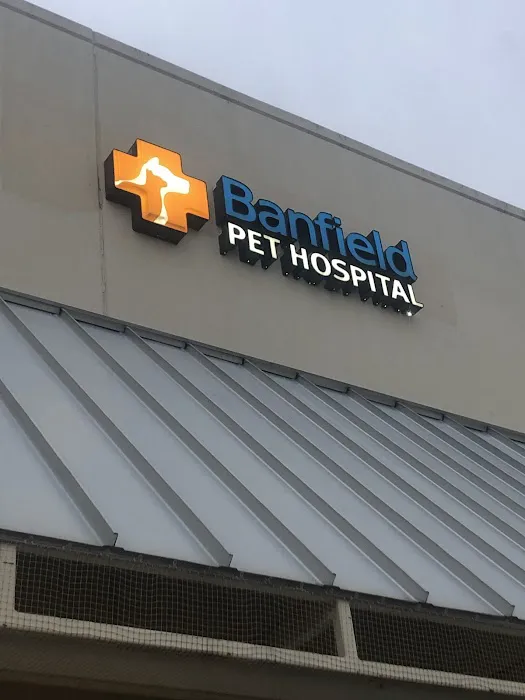 Banfield Pet Hospital Picture 6